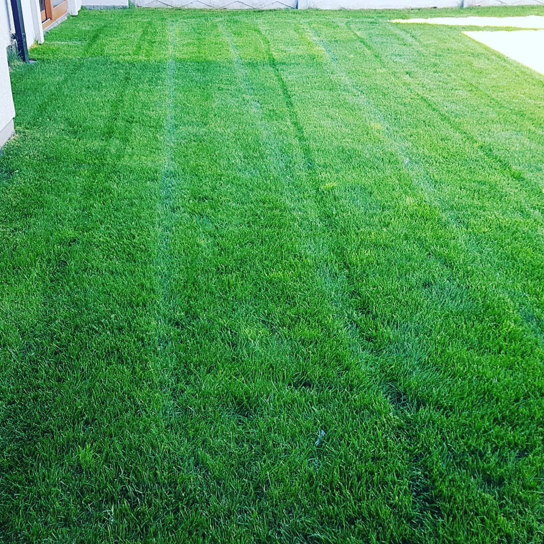 Mantención de jardín residencial Temuco - Doña Jacinta SpA